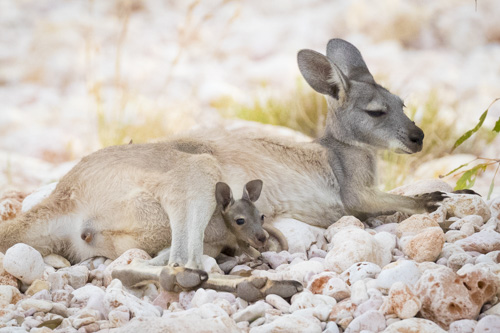 karijini ningaloo photo tour example 26